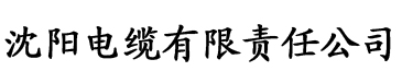 色欲AV伊人久久大香线蕉影院电缆厂logo